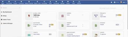 Thrive ERP dashboard showing sales, products, customers and suppliers